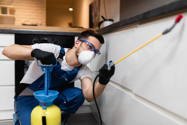 Best Local Pest Control Services  in Franklin, MI