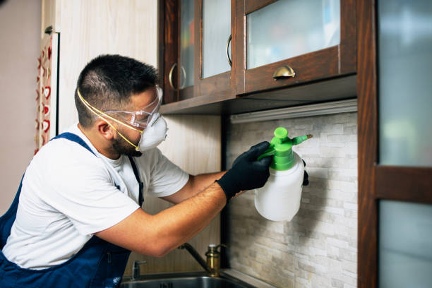 Best Local Pest Control Services  in Franklin, MI