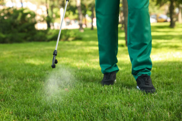 Best Cockroach Control Services  in Franklin, MI