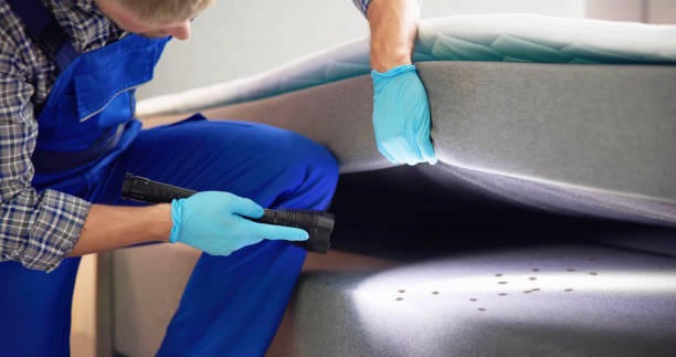 Best Residential Pest Control  in Franklin, MI