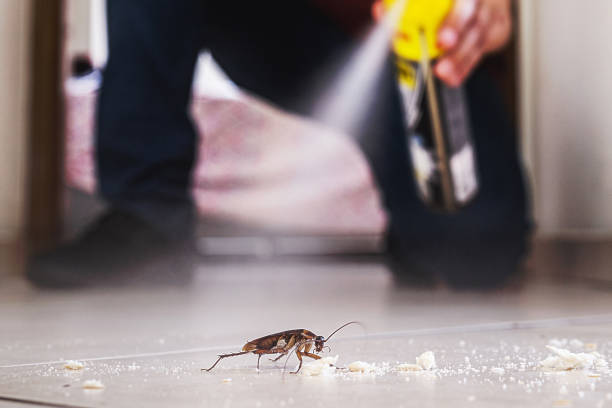 Best Rodent Control Near Me  in Franklin, MI