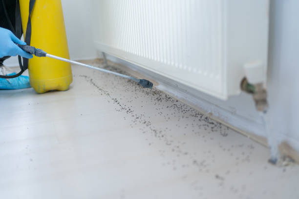 Best Pest Control Near Me  in Franklin, MI