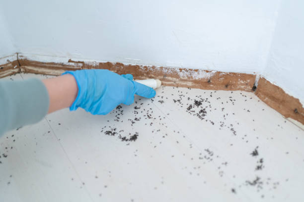 Best Wildlife Control Services  in Franklin, MI